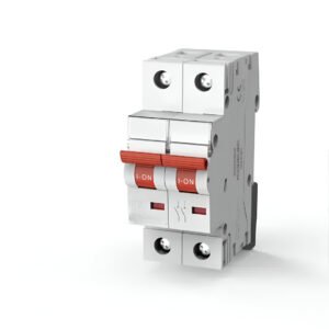 Wortmann DP Pole Isolator – 40–125A | High-Safety Double Pole Isolating Switch with Padlock Provision